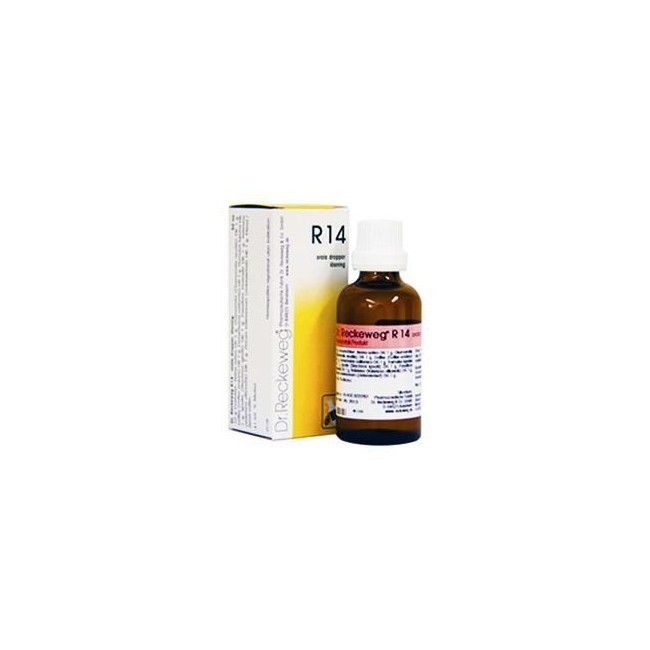 RECKEWEG R14 GOCCE 22ML