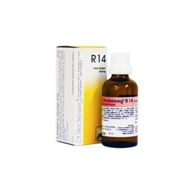 RECKEWEG R14 GOCCE 22ML