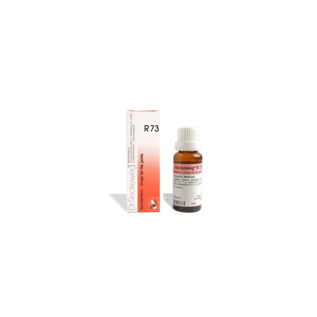 RECKEWEG R73 GOCCE 22ML