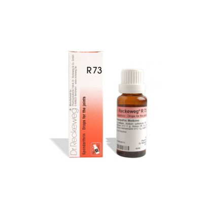 RECKEWEG R73 GOCCE 22ML