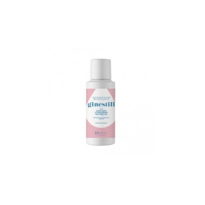 GINESTILL DETERGENTE LIQ 250ML