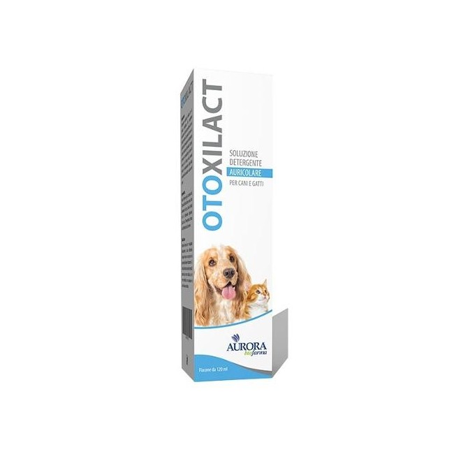 OTOXILACT DETERGENTE AURICOLA
