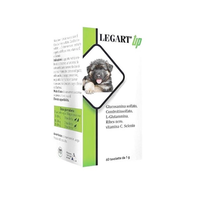 LEGART UP 120CPR
