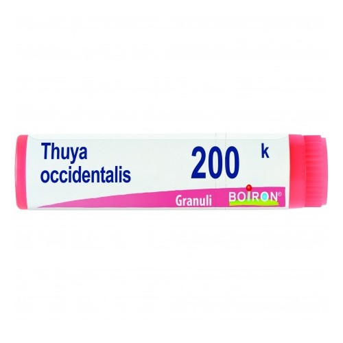 THUYA OCCIDENT 200K GL
