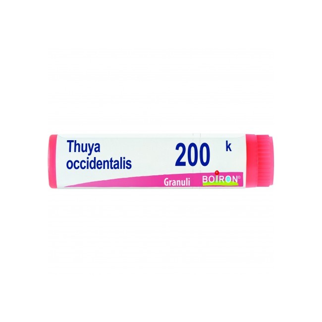 THUYA OCCIDENT 200K GL
