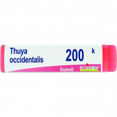 THUYA OCCIDENT 200K GL