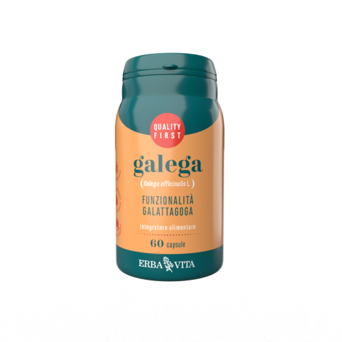 GALEGA 60CPS