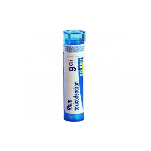 RHUS TOXICOD*9CH 80GR 4G BO