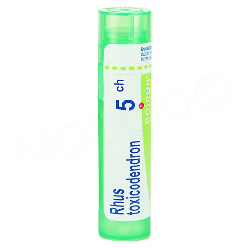 RHUS TOXICODEND*5CH 80GR 4G BO