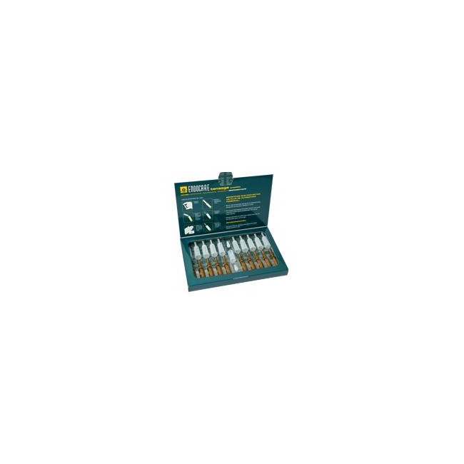 ENDOCARE TENSAGE AMPOLLE 10X2