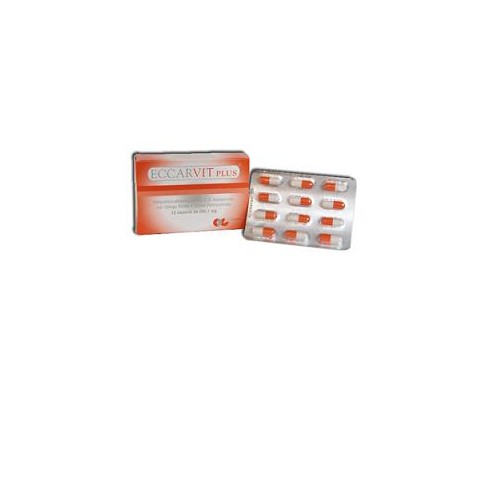 ECCARVIT PLUS 12CPS
