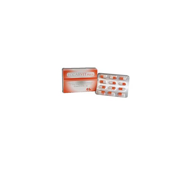 ECCARVIT PLUS 12CPS