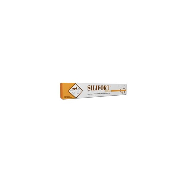 SILIFORT PASTA OS SIRINGA 30G
