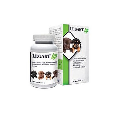 LEGART UP 60CPR