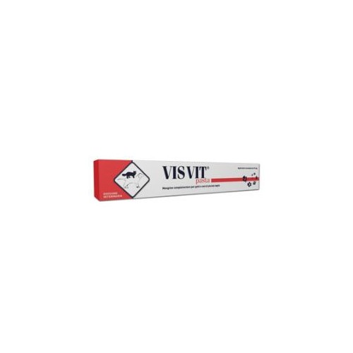 VISVIT PASTA OS SIRINGA 15G