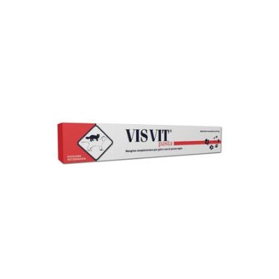 VISVIT PASTA OS SIRINGA 15G