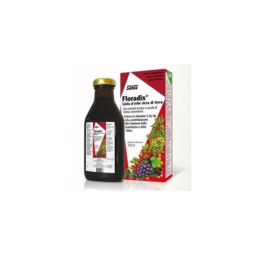 FLORADIX FERRO 250ML