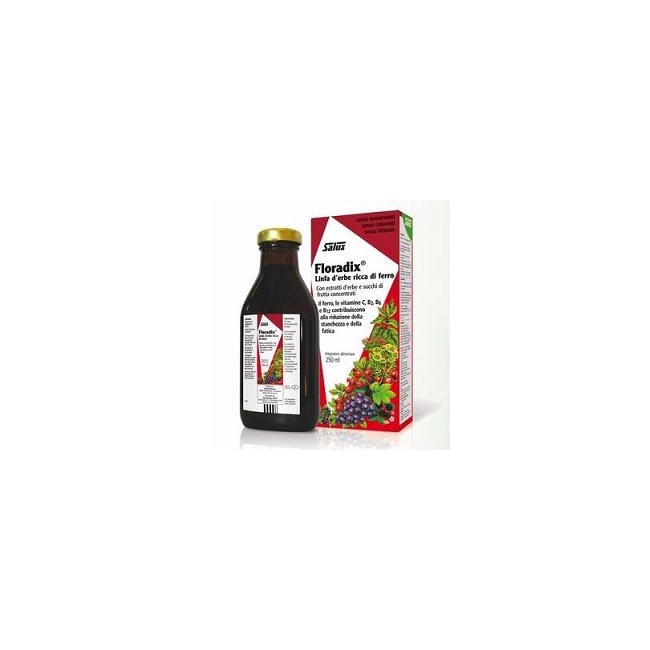 FLORADIX FERRO 250ML