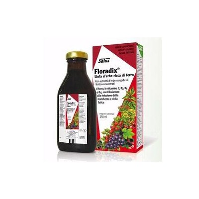 FLORADIX FERRO 250ML