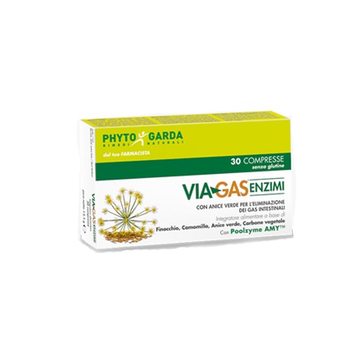 VIAGAS ENZIMI 30CPR