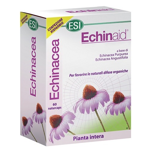 ECHINAID ALTA POTENZA 60CPS