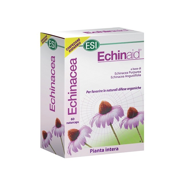 ECHINAID ALTA POTENZA 60CPS