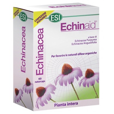 ECHINAID ALTA POTENZA 60CPS
